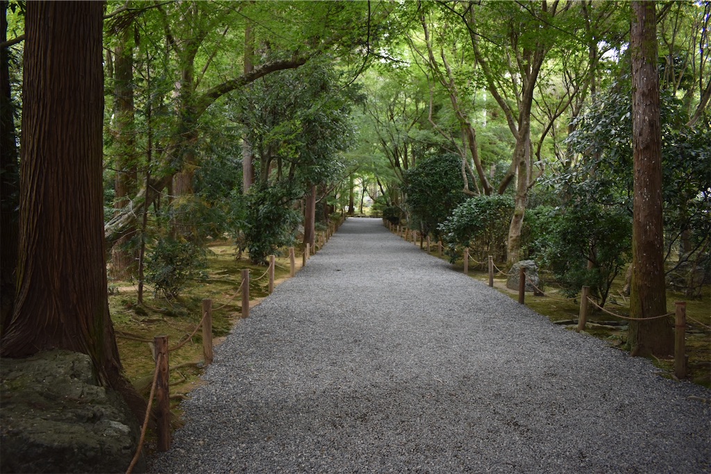 f:id:matsumotoyusuke:20210104190709j:image