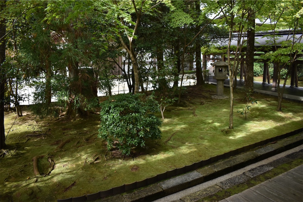 f:id:matsumotoyusuke:20210104190715j:image