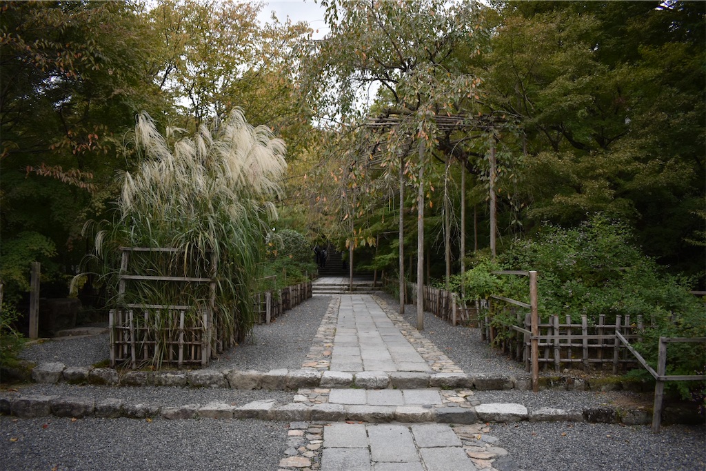 f:id:matsumotoyusuke:20210104190759j:image