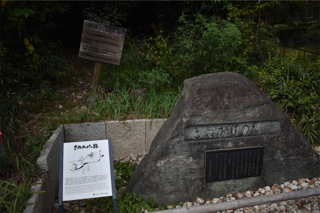 f:id:matsumotoyusuke:20210104190831j:image