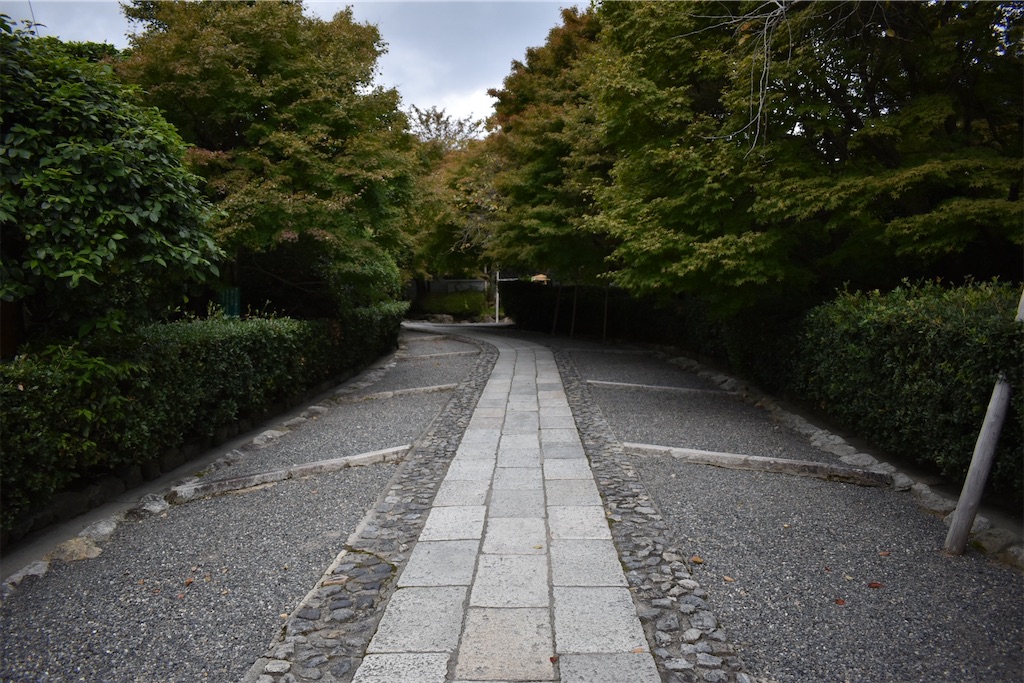 f:id:matsumotoyusuke:20210104190910j:image