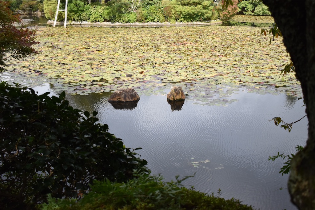 f:id:matsumotoyusuke:20210104190945j:image