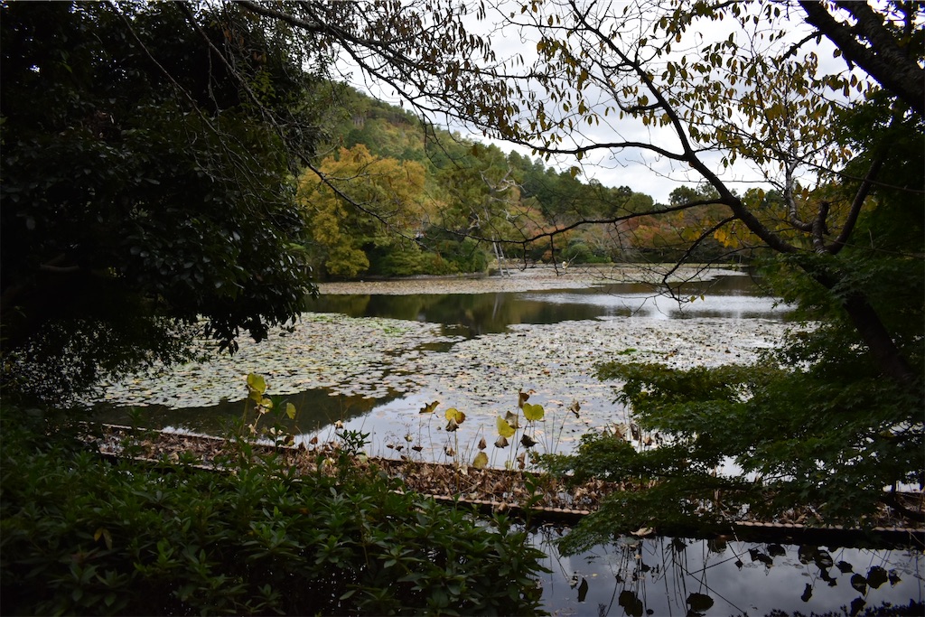 f:id:matsumotoyusuke:20210104190951j:image