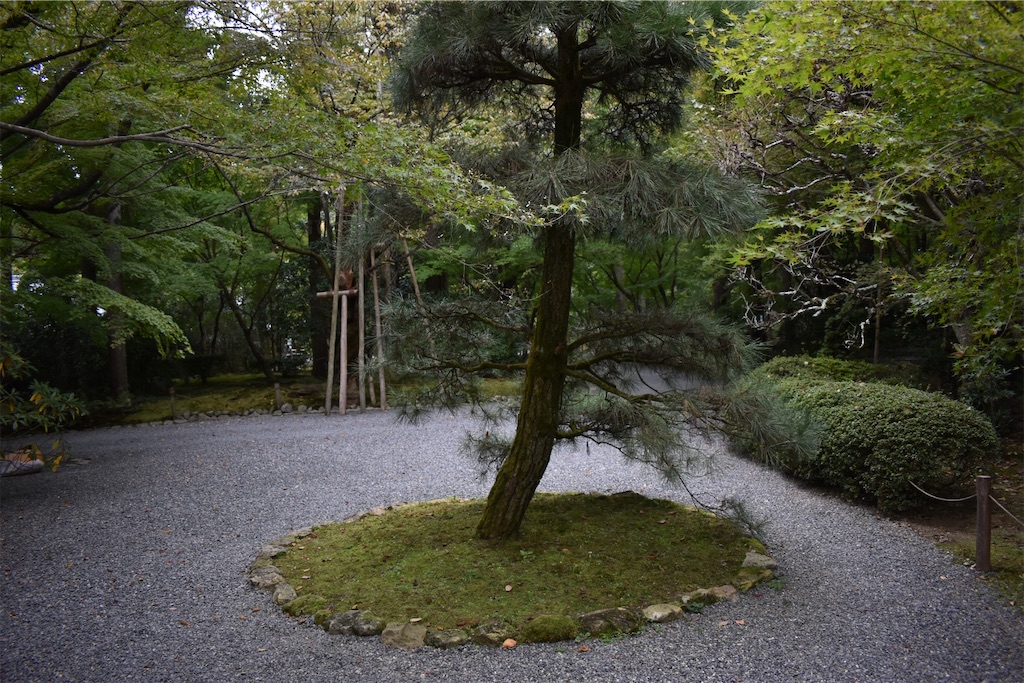 f:id:matsumotoyusuke:20210104191003j:image
