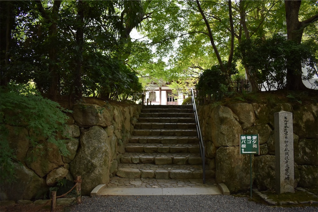 f:id:matsumotoyusuke:20210104191017j:image