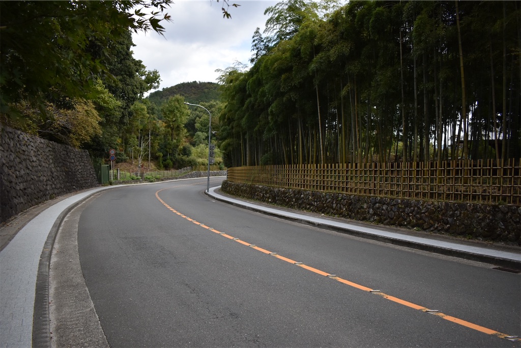 f:id:matsumotoyusuke:20210104191025j:image