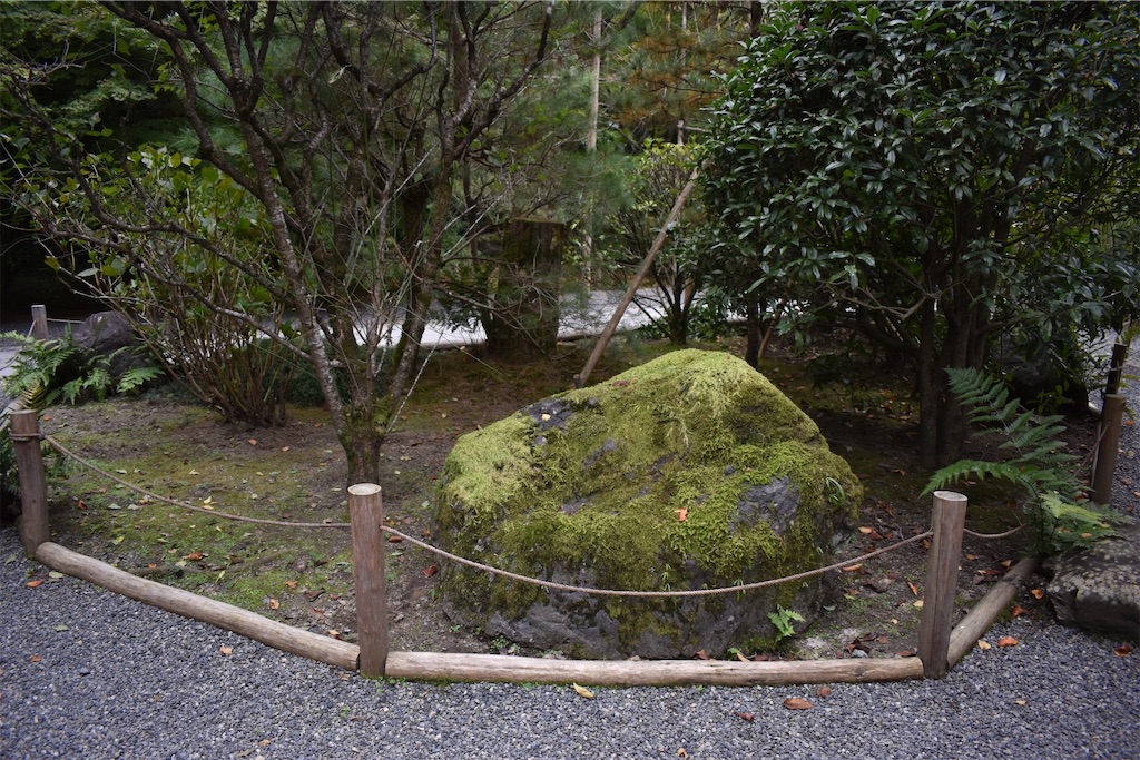 f:id:matsumotoyusuke:20210104191058j:image