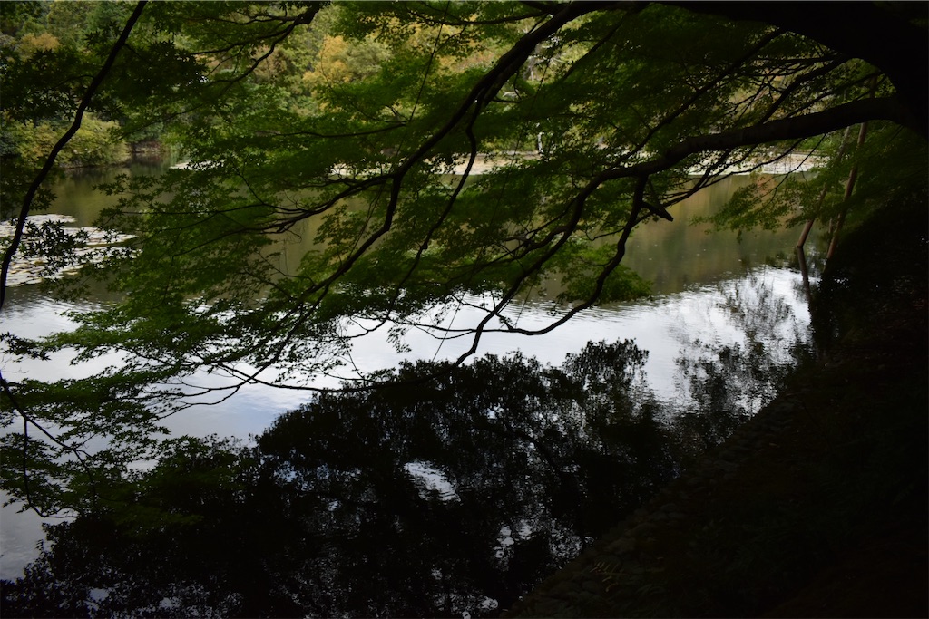 f:id:matsumotoyusuke:20210104191122j:image