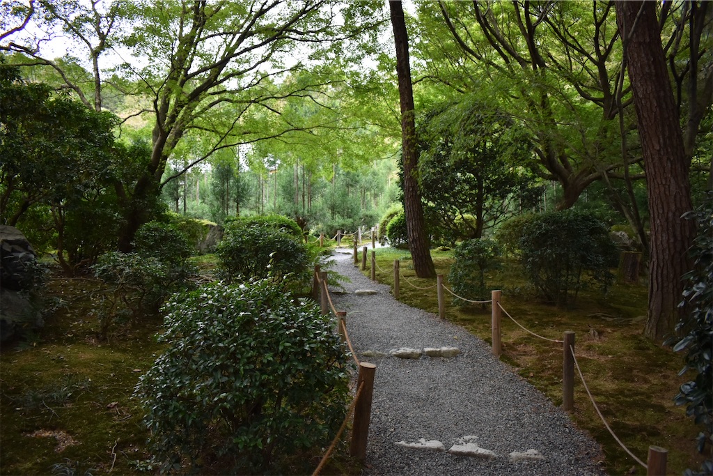 f:id:matsumotoyusuke:20210104191219j:image