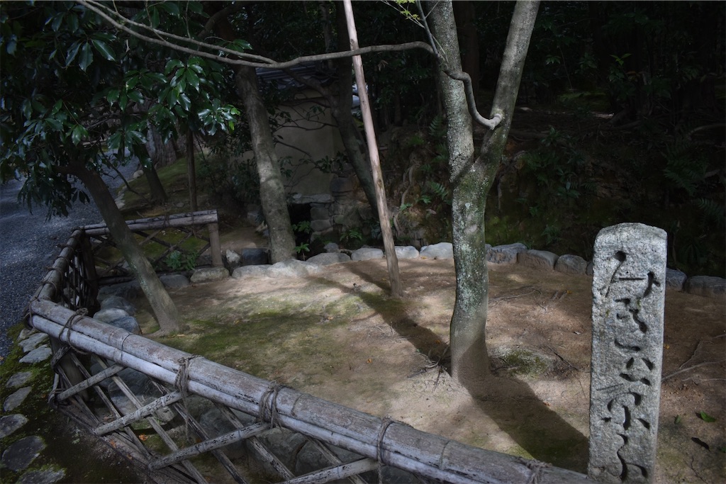 f:id:matsumotoyusuke:20210104191224j:image