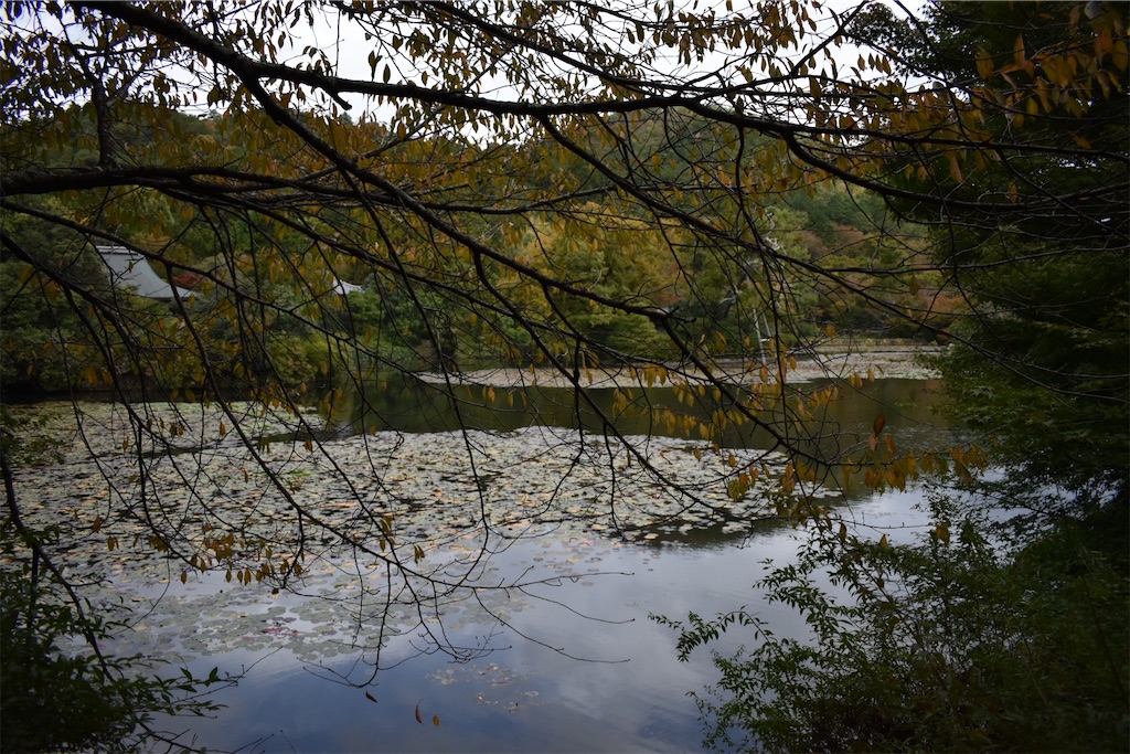 f:id:matsumotoyusuke:20210104191240j:image