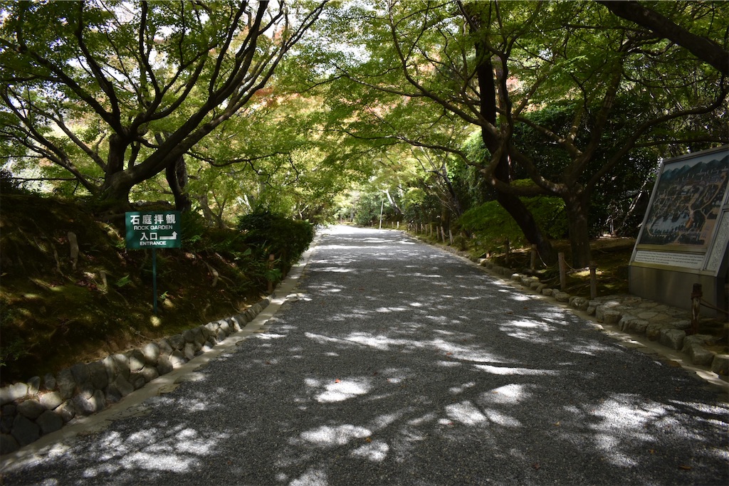 f:id:matsumotoyusuke:20210104191259j:image