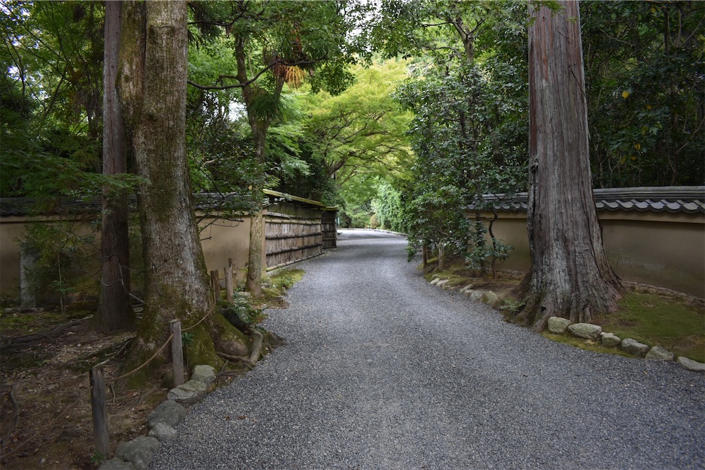 f:id:matsumotoyusuke:20210104191306j:image
