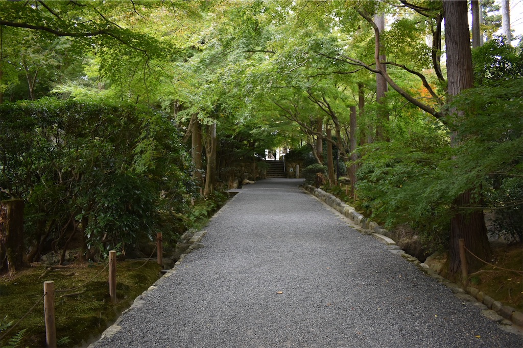 f:id:matsumotoyusuke:20210104191312j:image