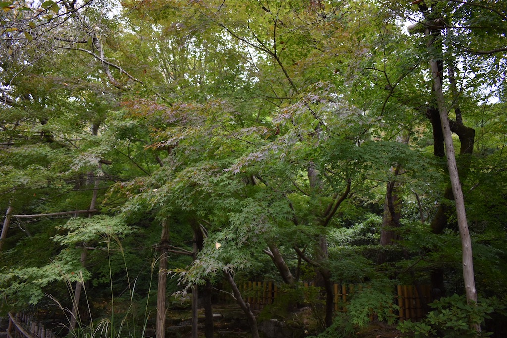 f:id:matsumotoyusuke:20210104191331j:image