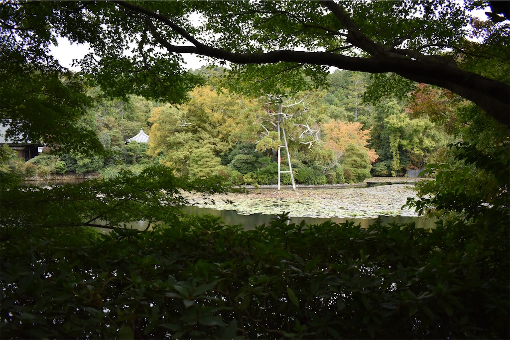 f:id:matsumotoyusuke:20210104191337j:image