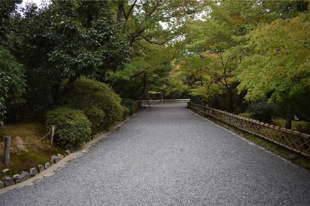 f:id:matsumotoyusuke:20210104191402j:image