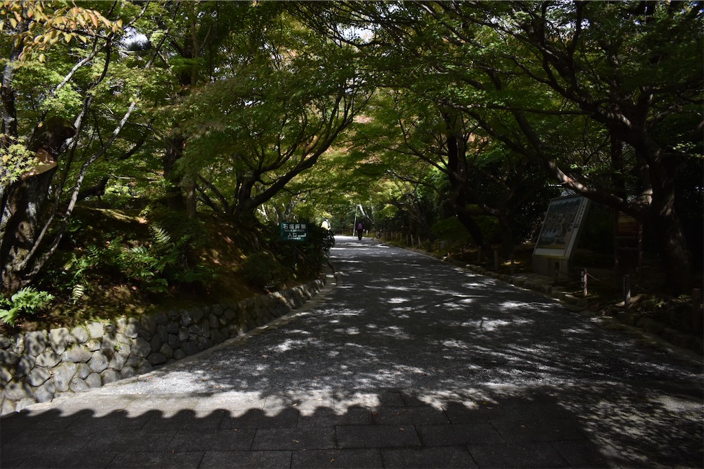 f:id:matsumotoyusuke:20210104191423j:image
