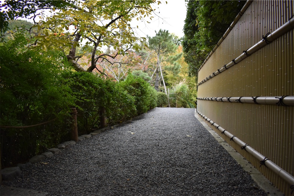f:id:matsumotoyusuke:20210104191511j:image