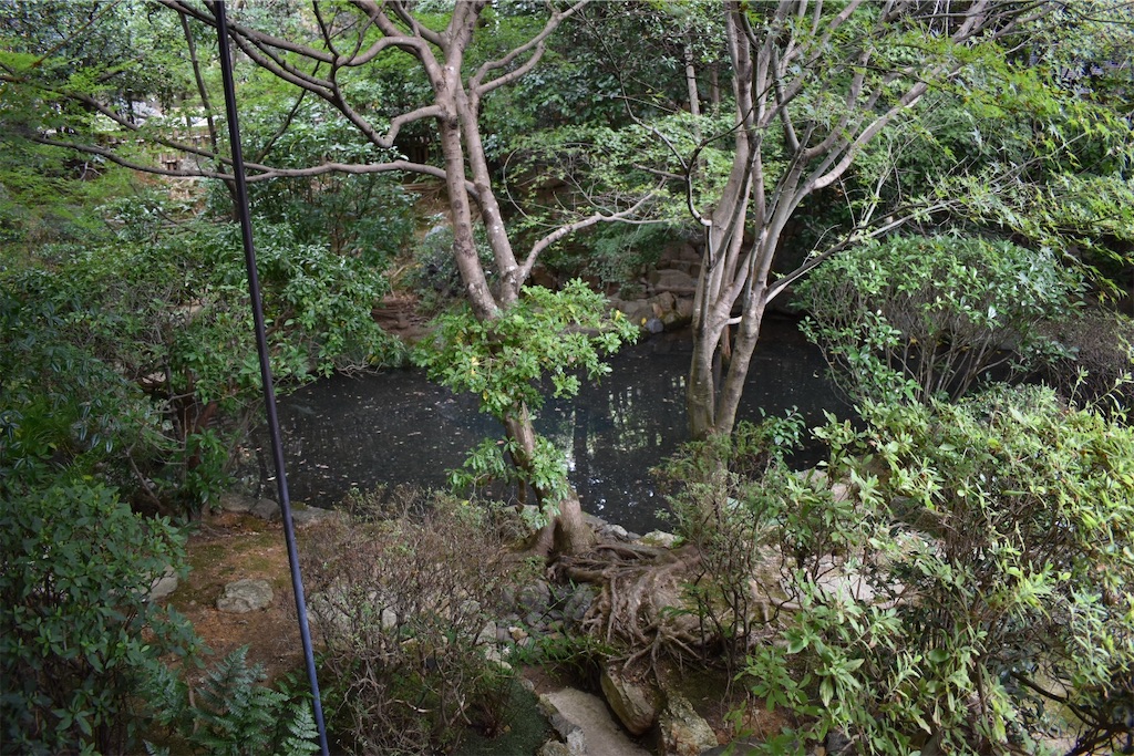 f:id:matsumotoyusuke:20210104191534j:image