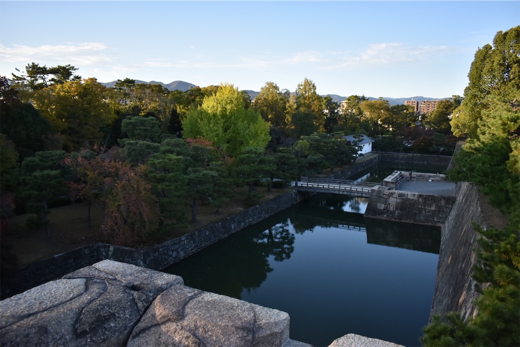 f:id:matsumotoyusuke:20210104205340j:image