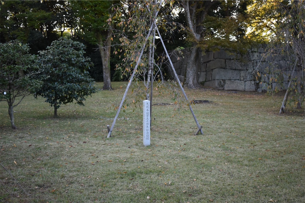 f:id:matsumotoyusuke:20210104205819j:image