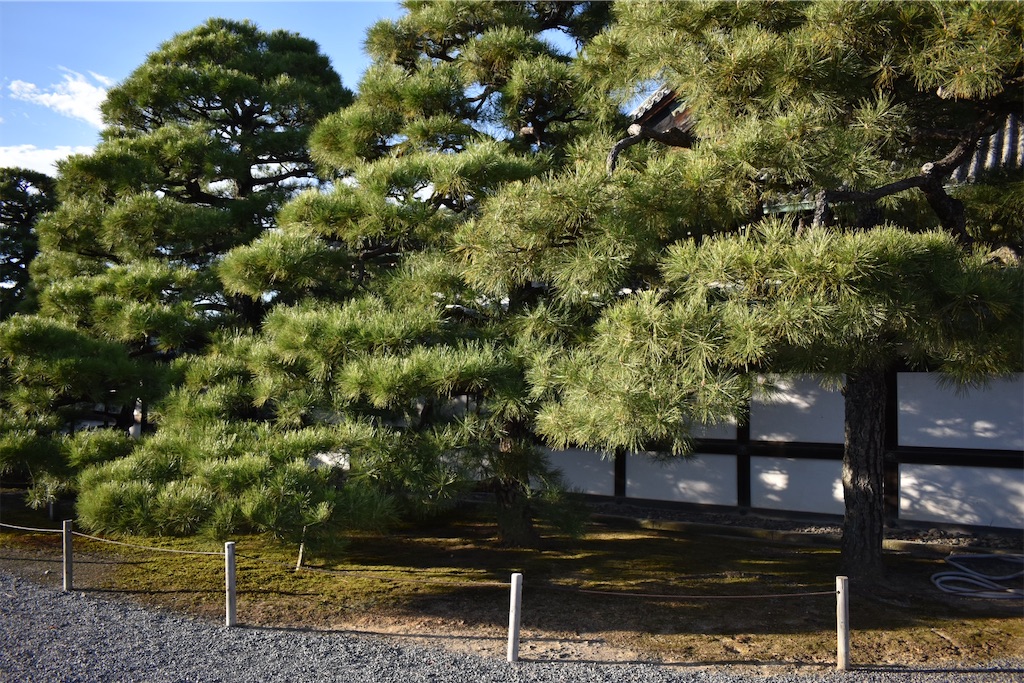 f:id:matsumotoyusuke:20210104205904j:image