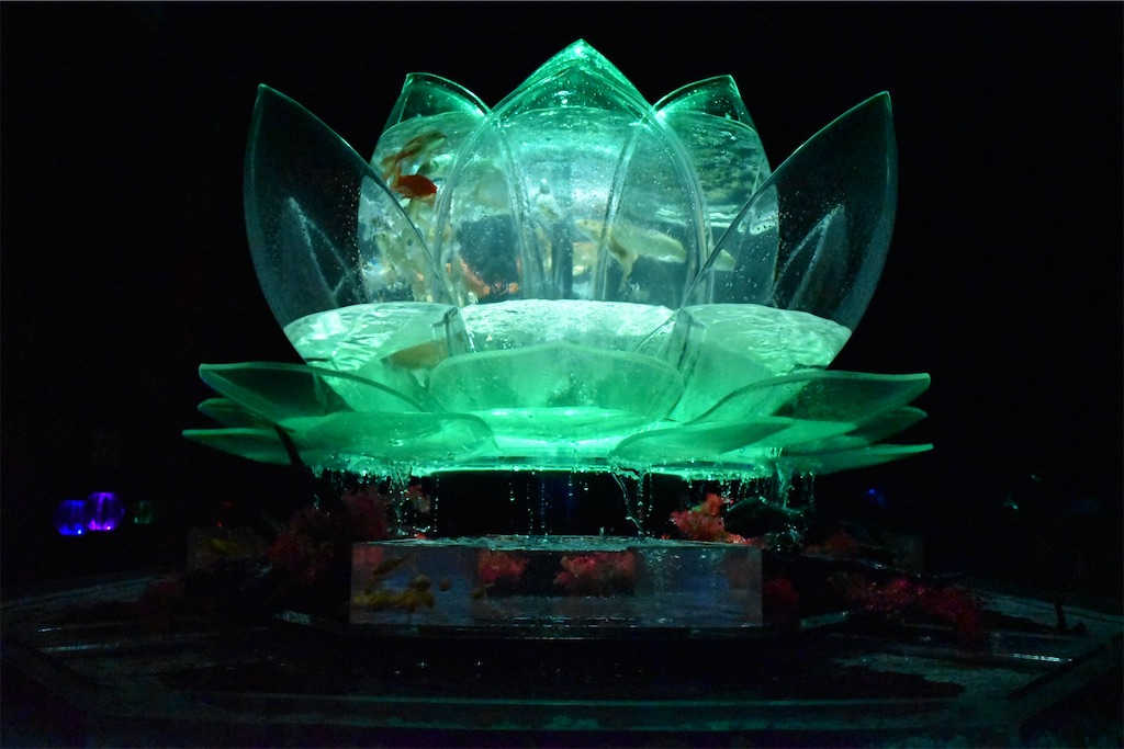 f:id:matsumotoyusuke:20210104211329j:image