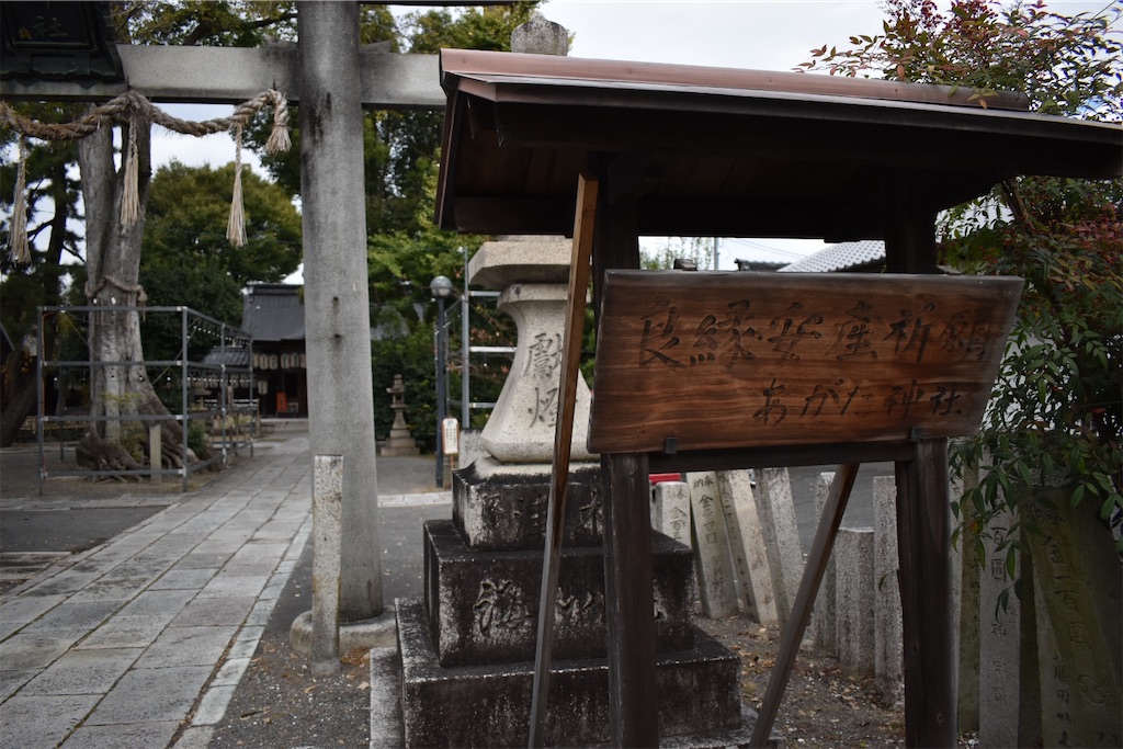f:id:matsumotoyusuke:20210104212901j:image f:id:matsumotoyusuke:20210104212901j:image