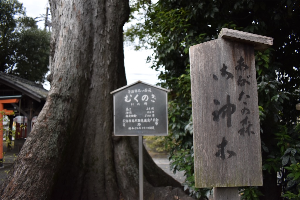 f:id:matsumotoyusuke:20210104212932j:image f:id:matsumotoyusuke:20210104212932j:image