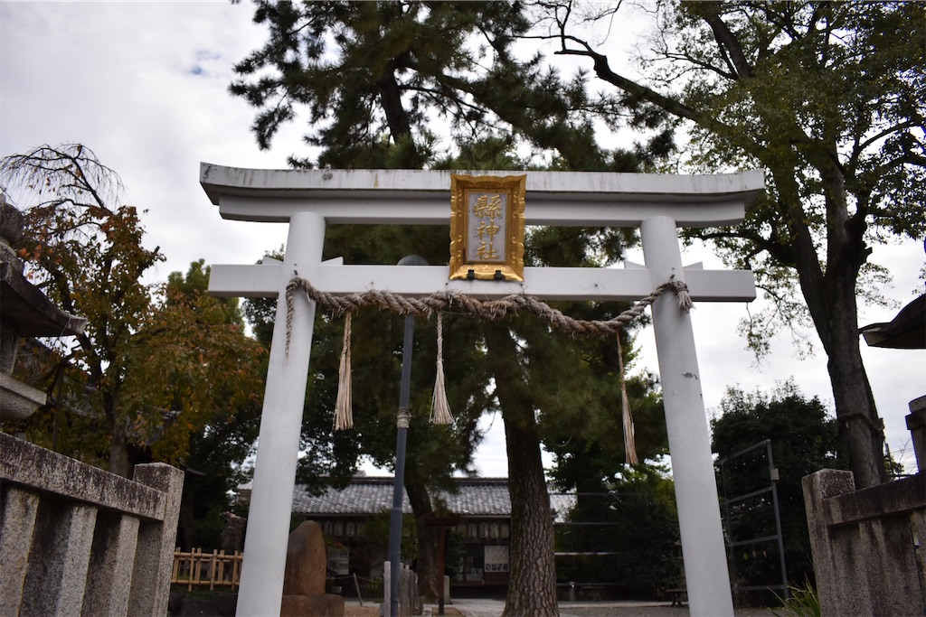 f:id:matsumotoyusuke:20210104212938j:image f:id:matsumotoyusuke:20210104212938j:image