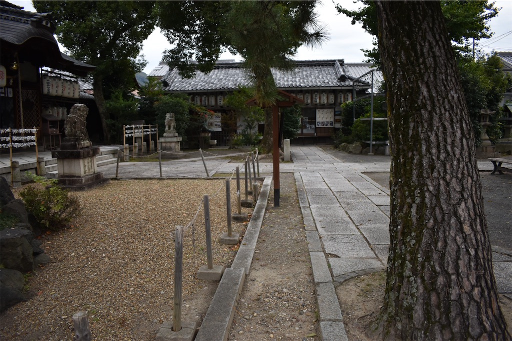 f:id:matsumotoyusuke:20210104214052j:image f:id:matsumotoyusuke:20210104214052j:image
