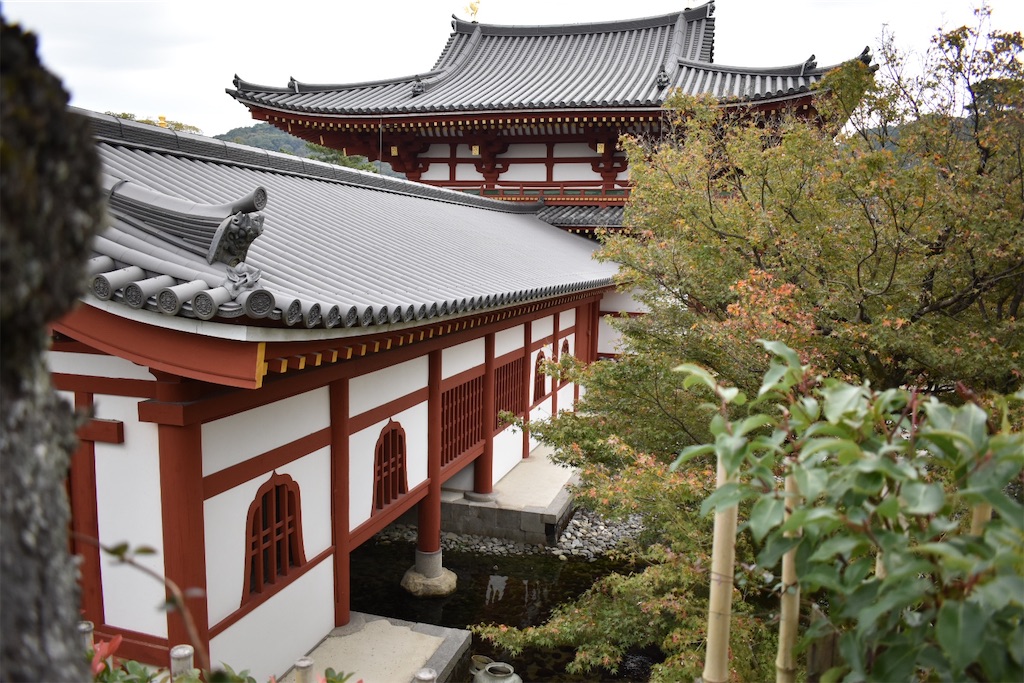 f:id:matsumotoyusuke:20210104214409j:image