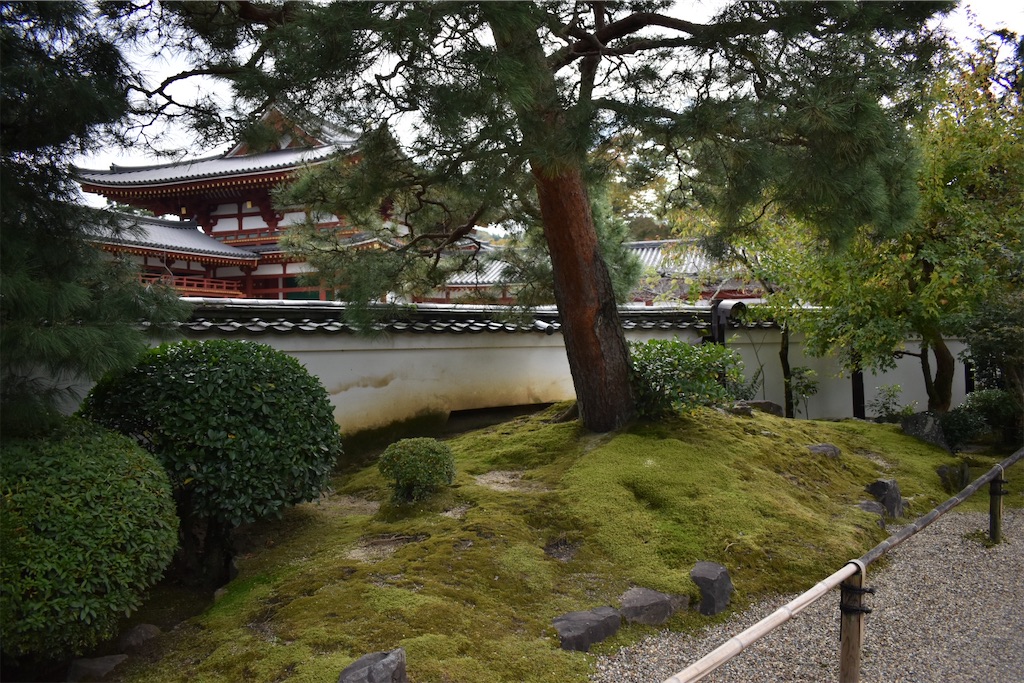 f:id:matsumotoyusuke:20210104214420j:image