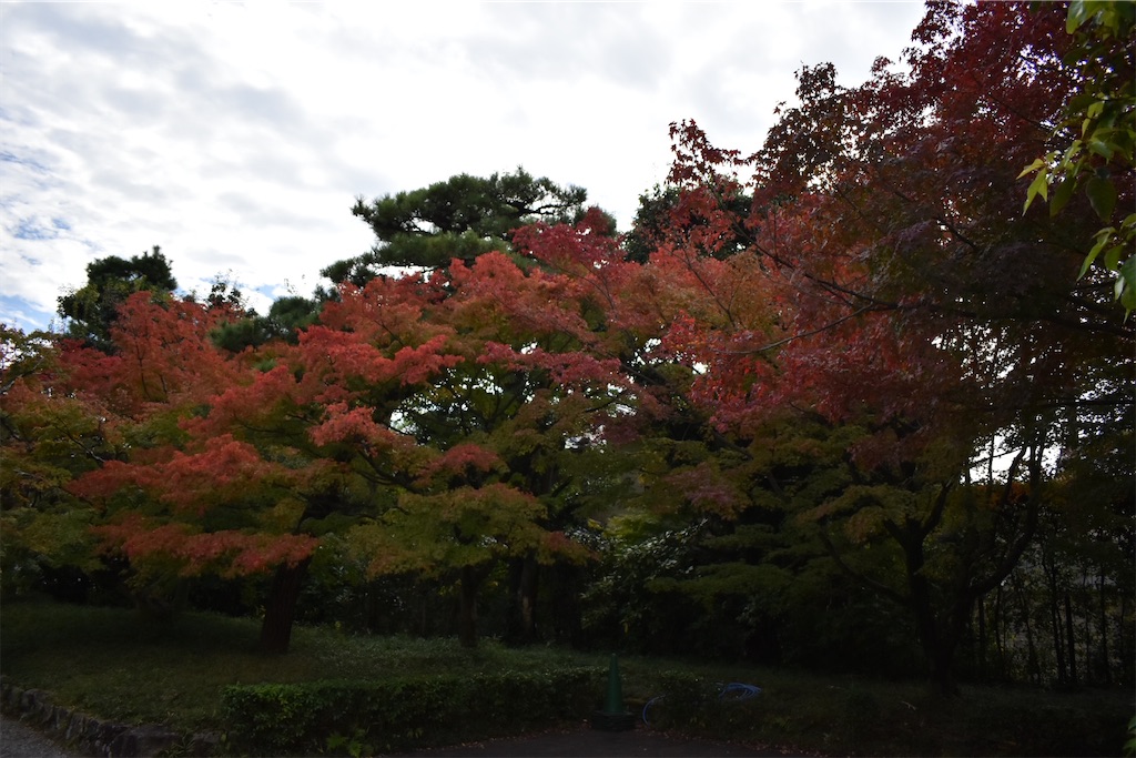 f:id:matsumotoyusuke:20210104214516j:image