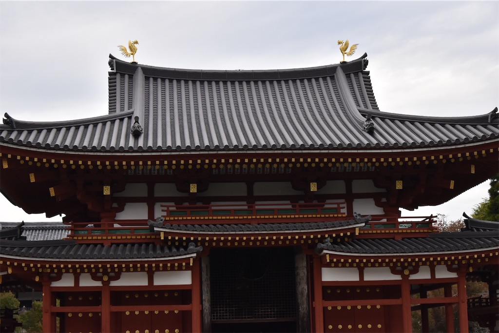 f:id:matsumotoyusuke:20210104214550j:image