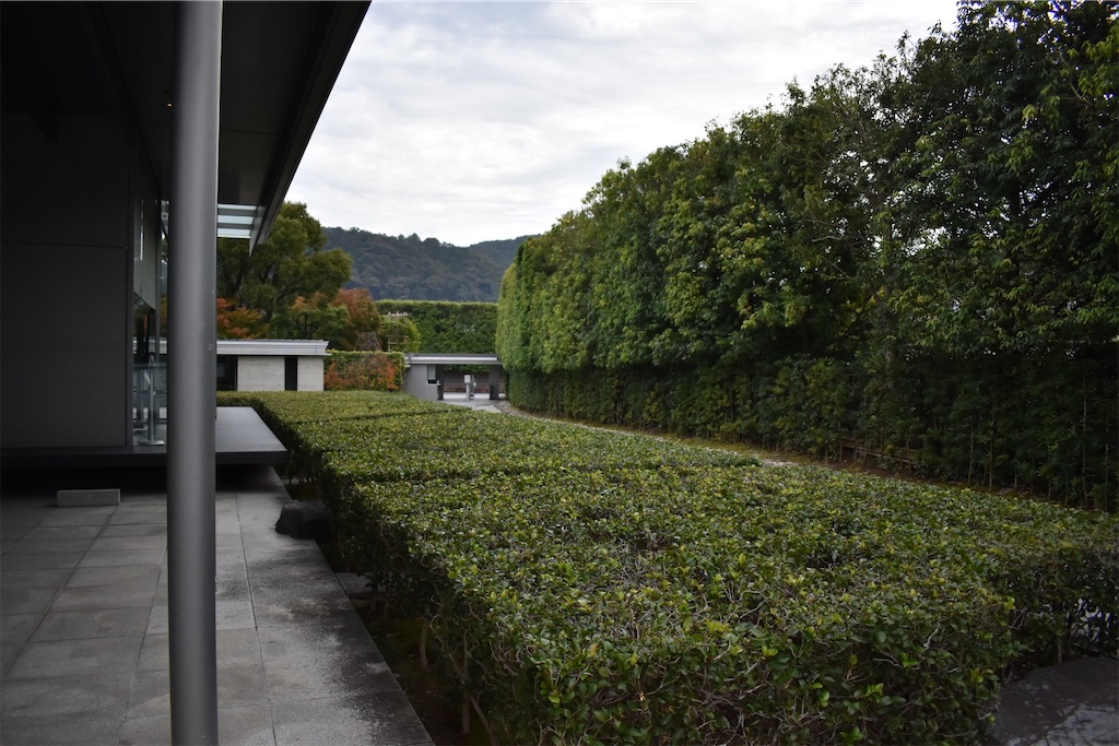 f:id:matsumotoyusuke:20210104214623j:image