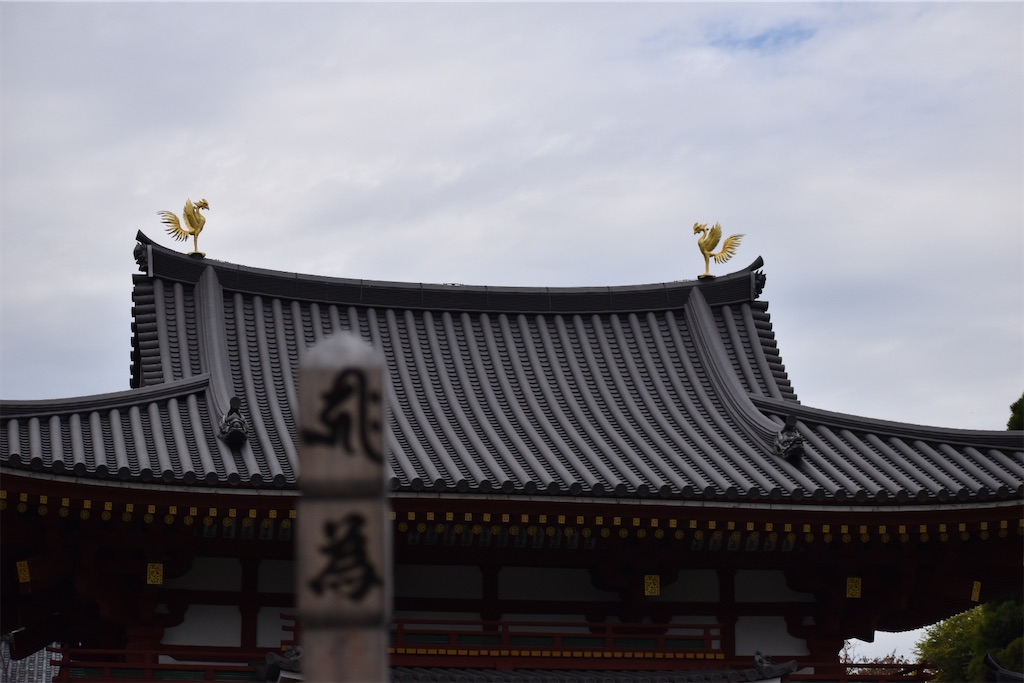 f:id:matsumotoyusuke:20210104214718j:image