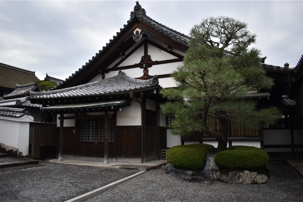 f:id:matsumotoyusuke:20210104214723j:image
