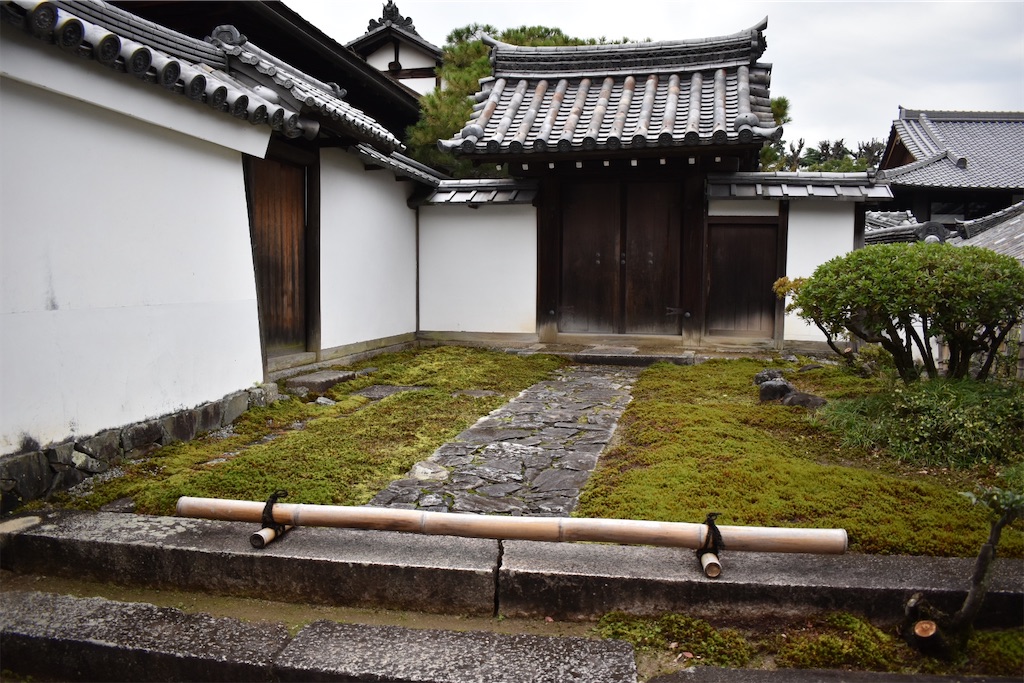 f:id:matsumotoyusuke:20210104214815j:image