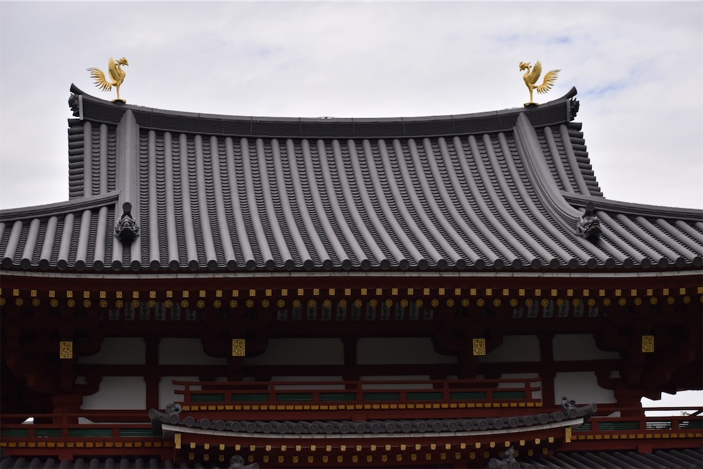 f:id:matsumotoyusuke:20210104215001j:image