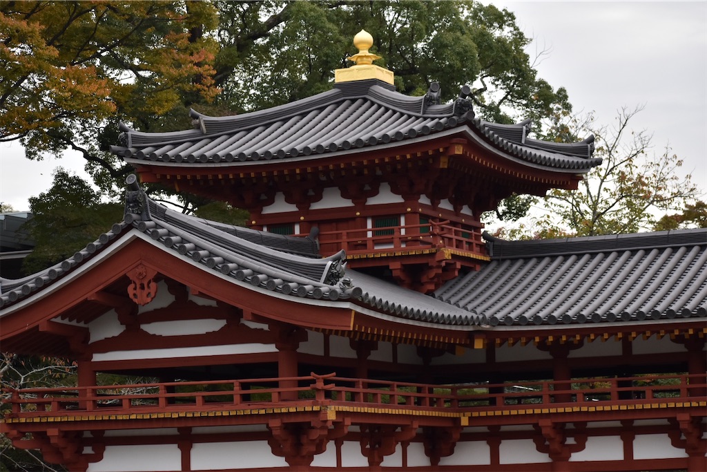 f:id:matsumotoyusuke:20210104215058j:image