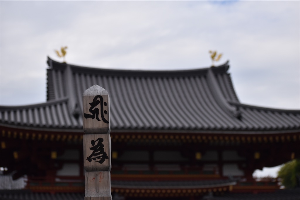 f:id:matsumotoyusuke:20210104215117j:image