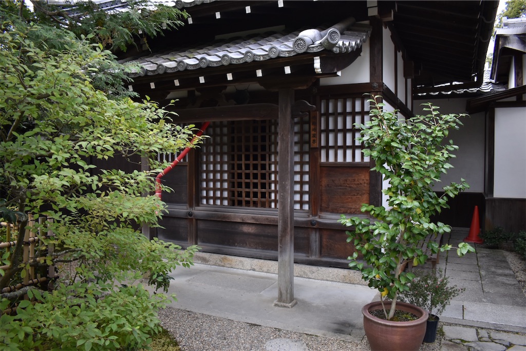 f:id:matsumotoyusuke:20210104215134j:image