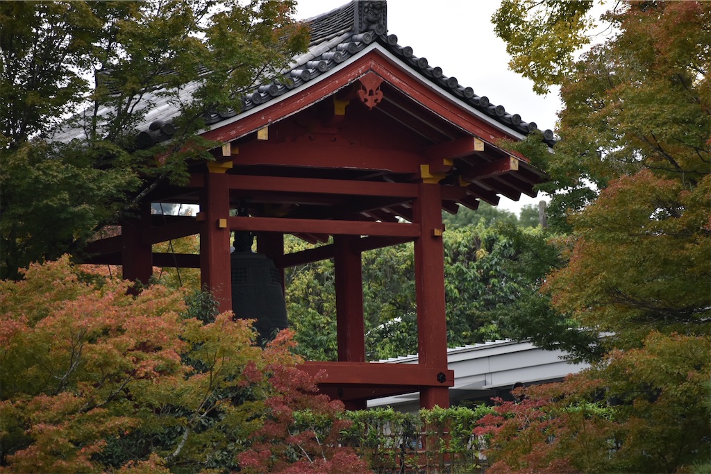 f:id:matsumotoyusuke:20210104215140j:image