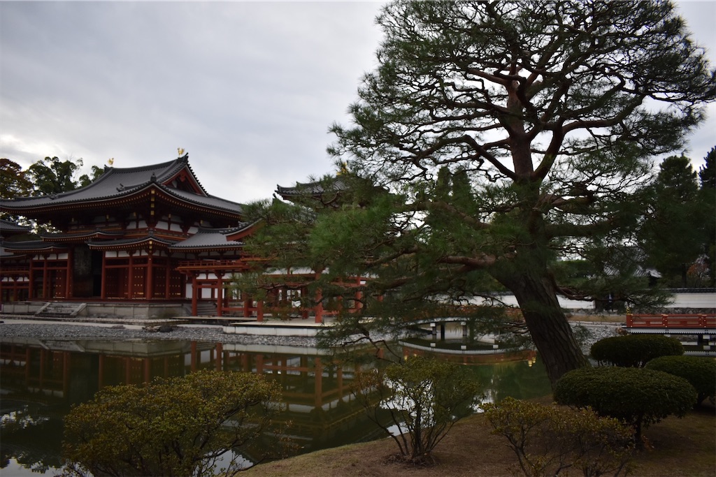f:id:matsumotoyusuke:20210104215156j:image
