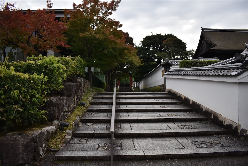 f:id:matsumotoyusuke:20210104215335j:image