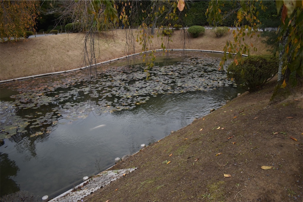 f:id:matsumotoyusuke:20210104215341j:image