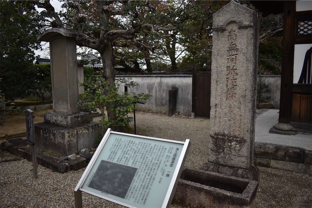 f:id:matsumotoyusuke:20210104215925j:image