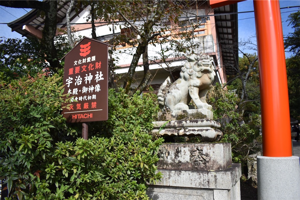 f:id:matsumotoyusuke:20210104220708j:image